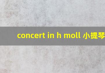 concert in h moll 小提琴